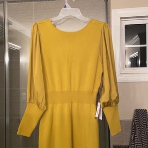 New York and Company Dress -Eva Mendes Collection